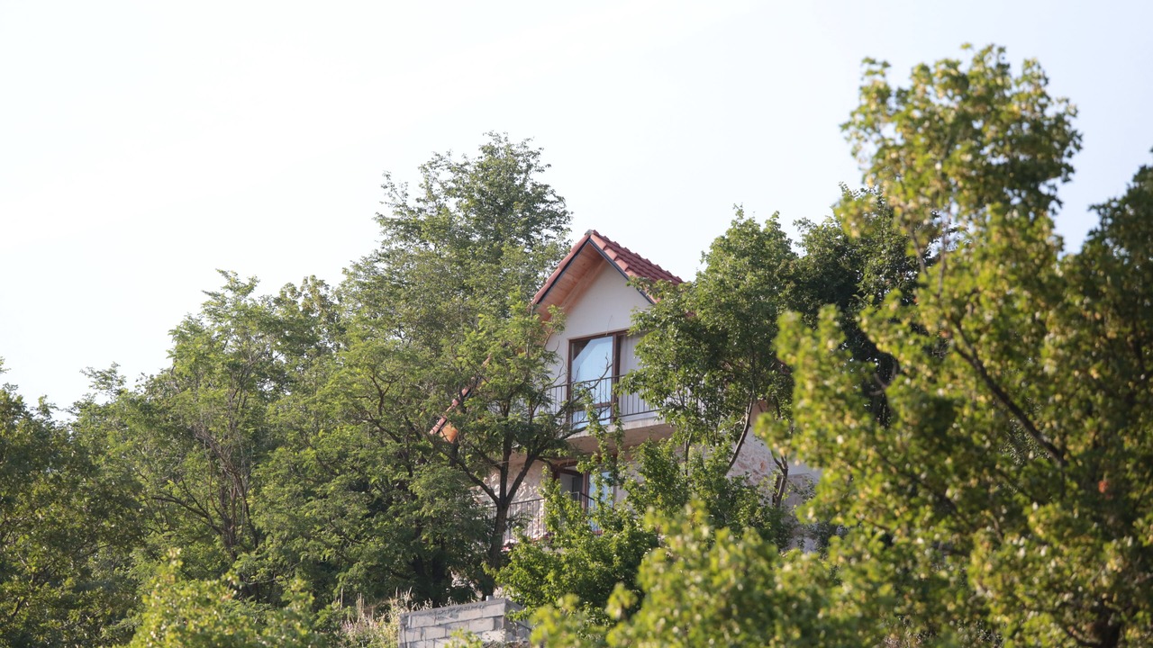 Photo of Outdoor in Grahovo