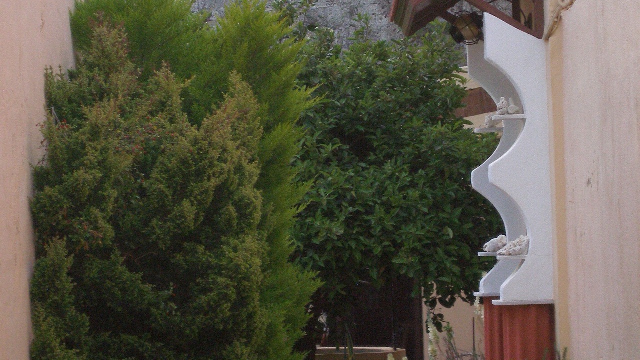 Photo of Outdoor in Rhodes Old Town