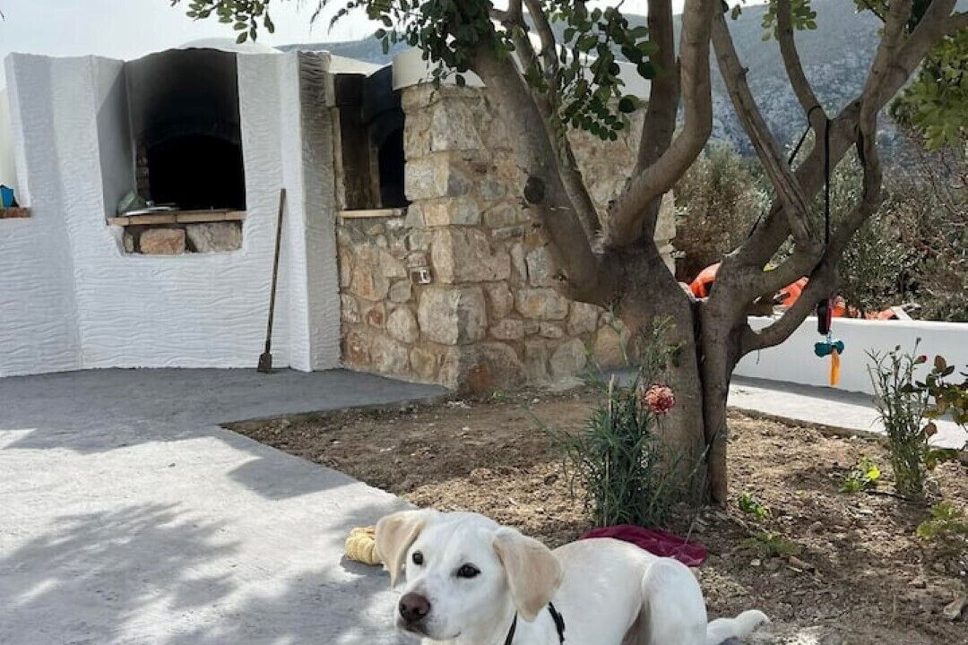 Photo of Outdoor in Panormos