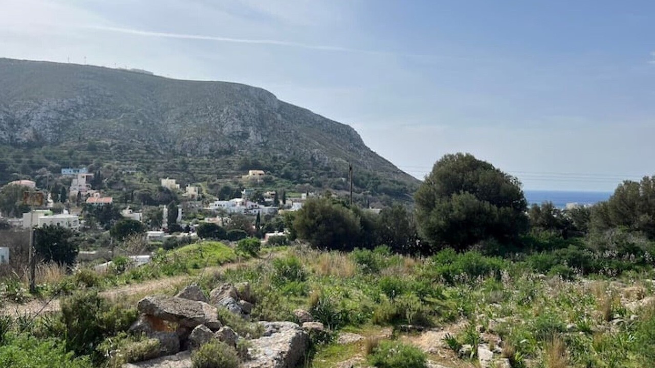 Photo of Others in Panormos