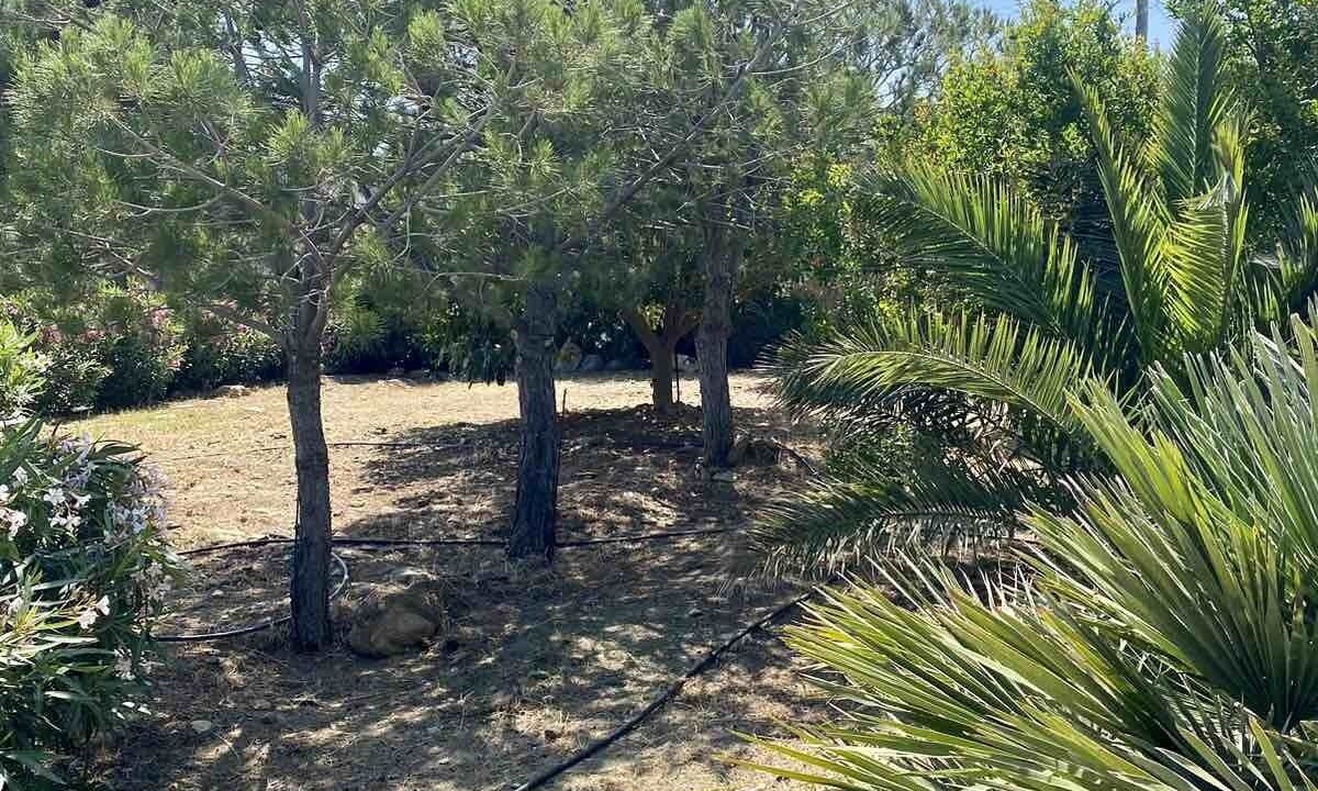 Photo of Outdoor in Gavrio