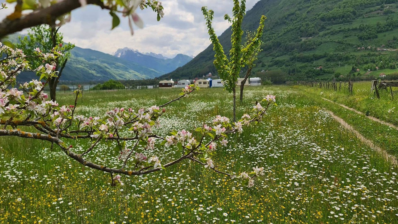 Photo of Outdoor in Plav
