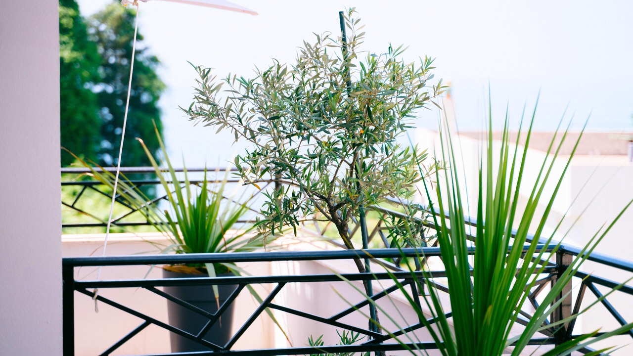 Photo of Outdoor in Ulcinj