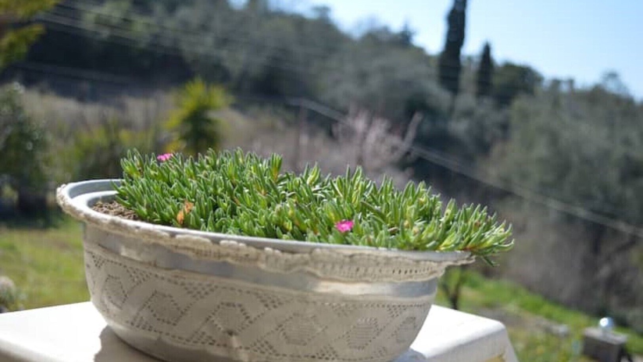Photo of Outdoor in Corfu Town