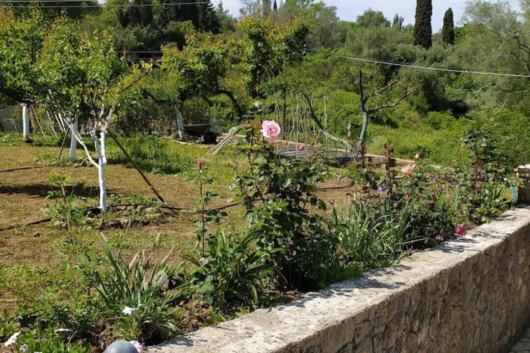 Photo of Outdoor in Corfu Town