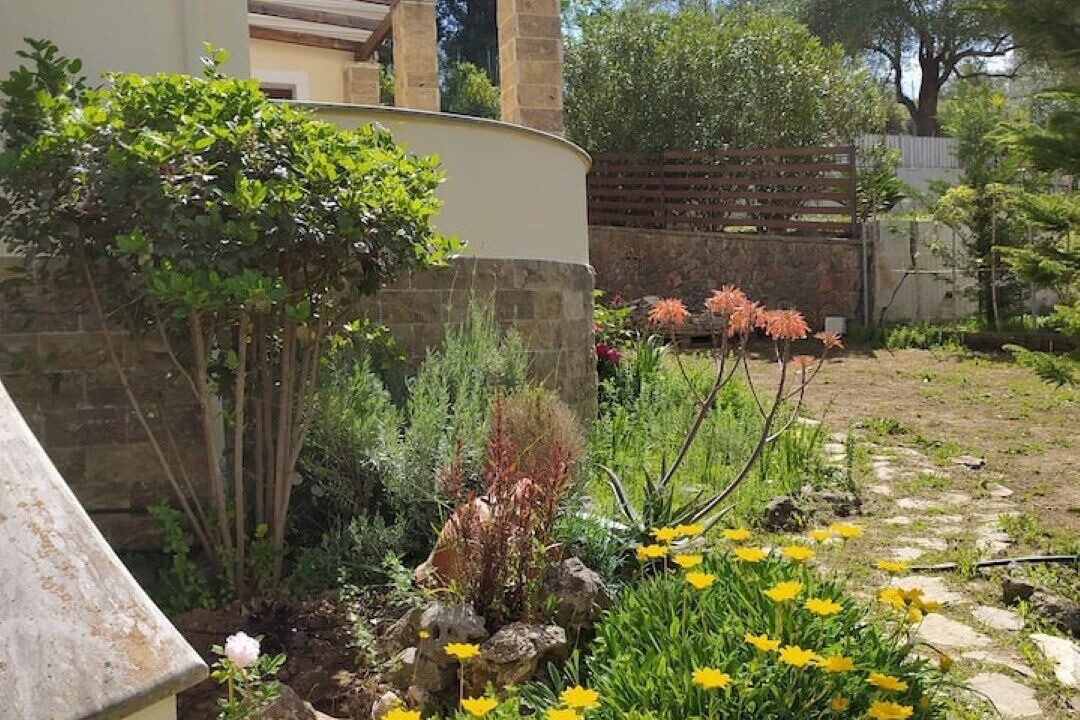 Photo of Outdoor in Corfu Town