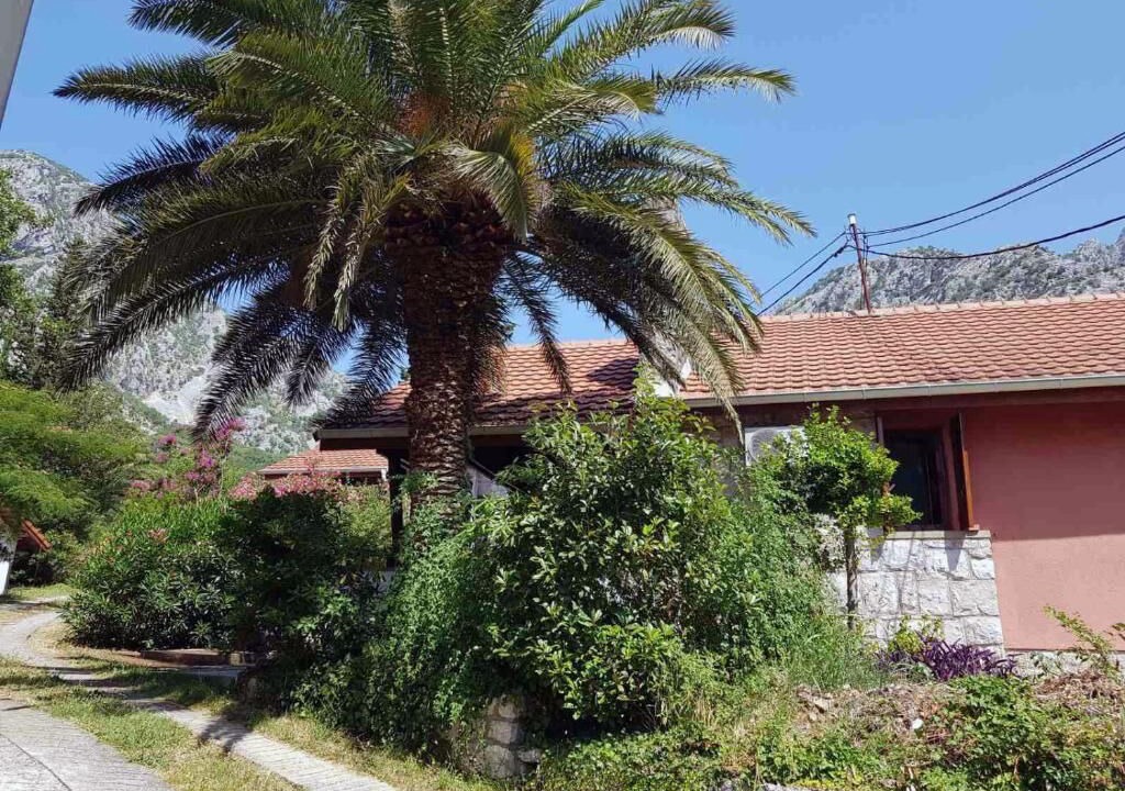 Photo of Outdoor in Orahovac