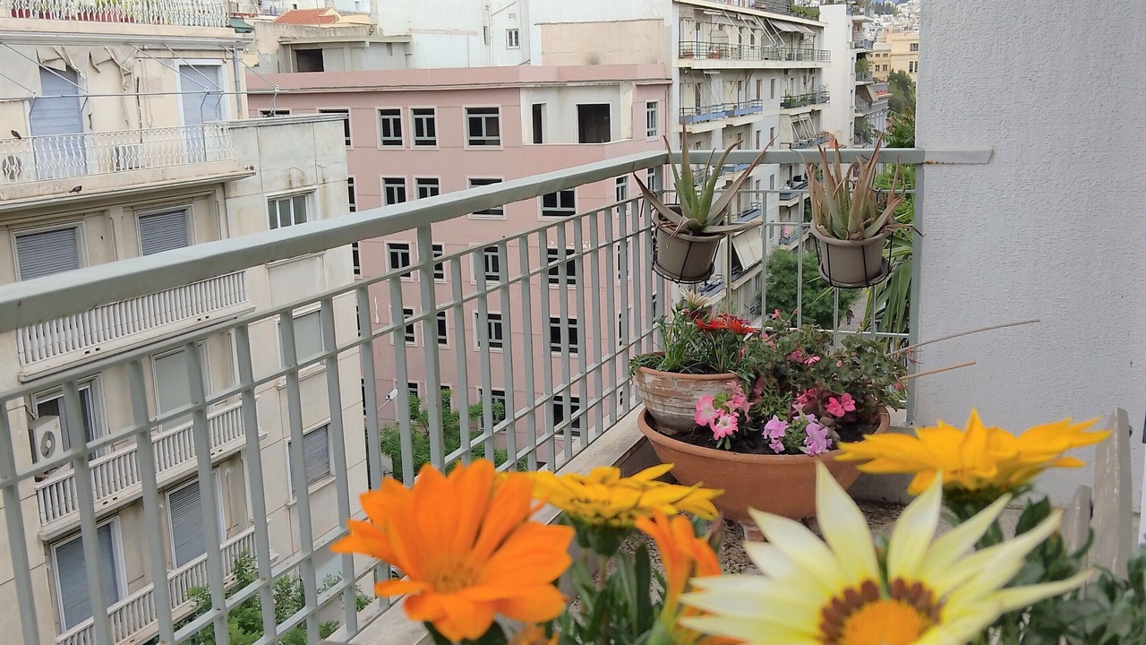 Photo of Outdoor in Exarhia