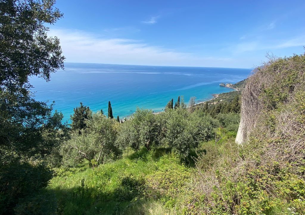 Photo of Others in Corfu