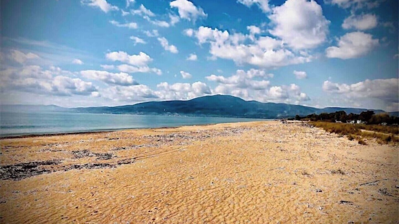 Photo of Others in Messini