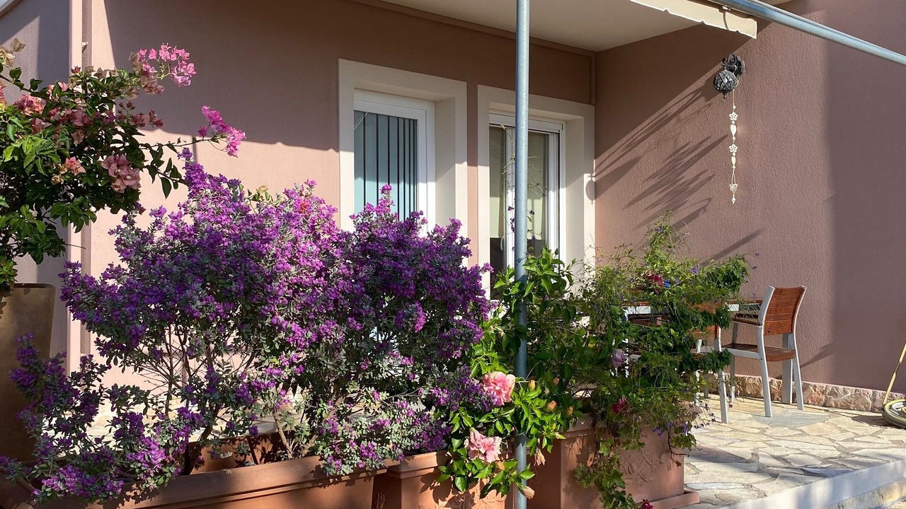 Photo of Patio Balcony in Faraklata