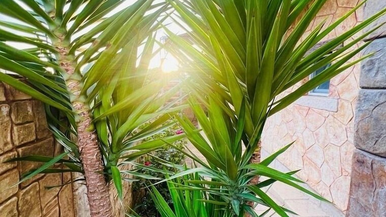 Photo of Outdoor in Dobra Voda