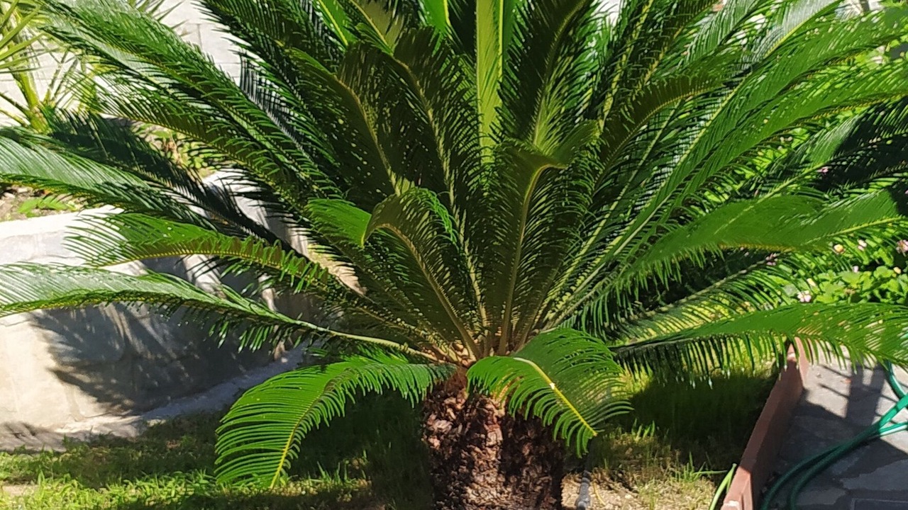 Photo of Outdoor in Plagiarion