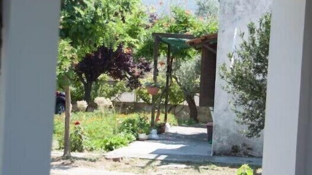 Photo of Outdoor in Edipsos