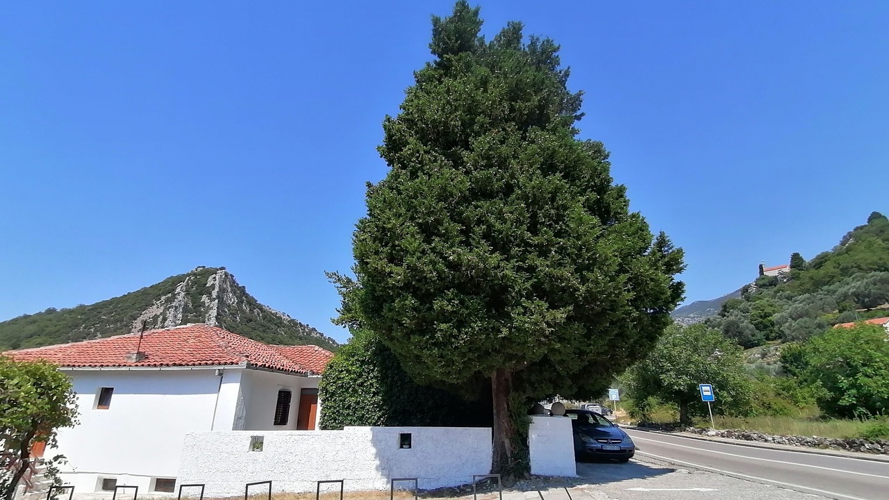 Photo of Outdoor in Kaluđerac