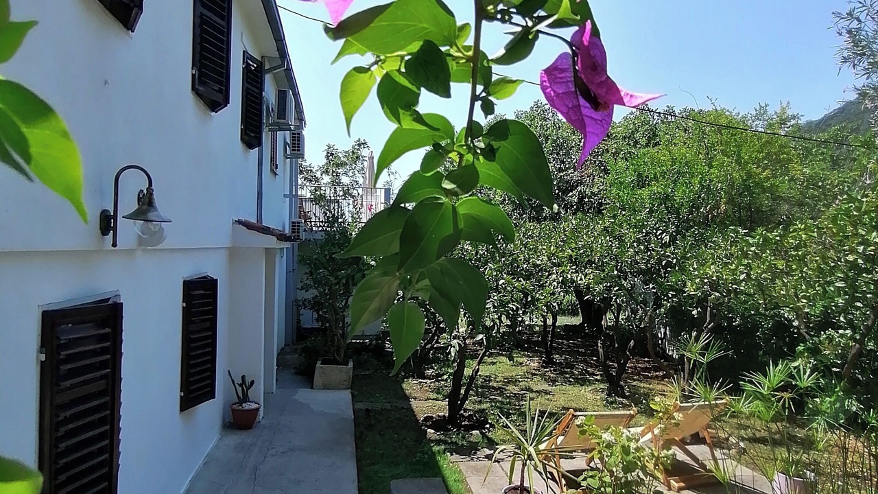 Photo of Outdoor in Kaluđerac