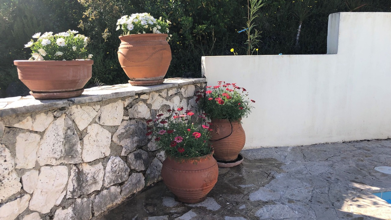 Photo of Outdoor in Spanokhorion
