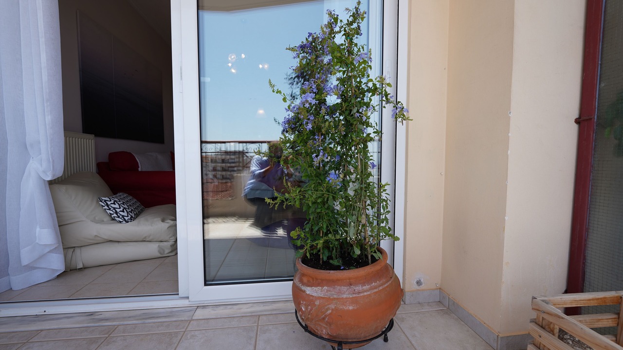 Photo of Outdoor in Aigio