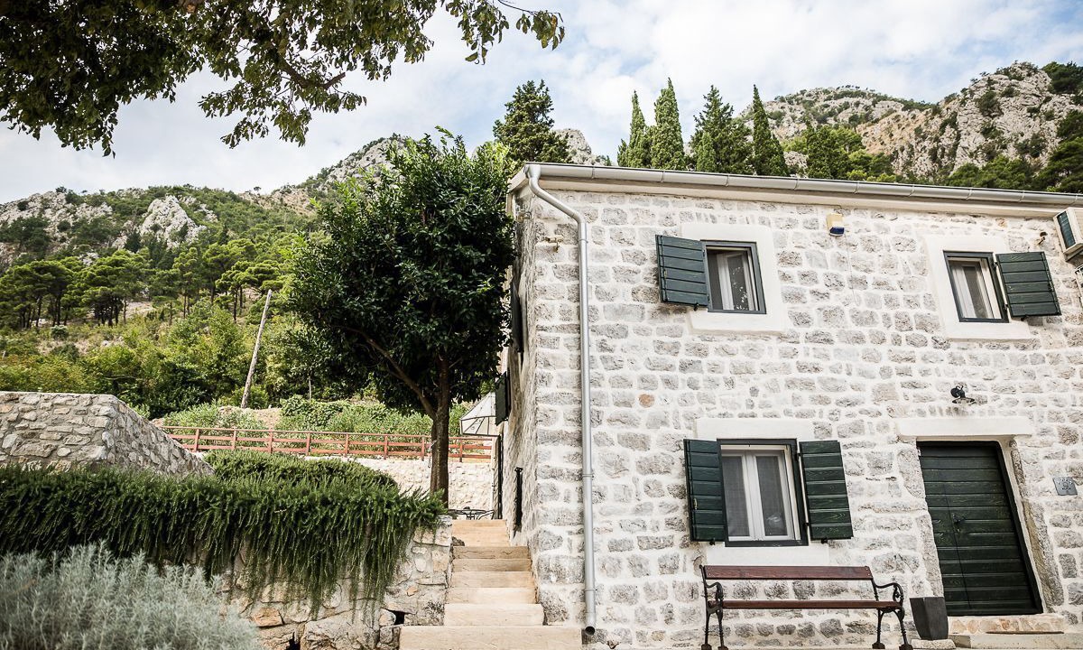 Photo of Others in Kotor