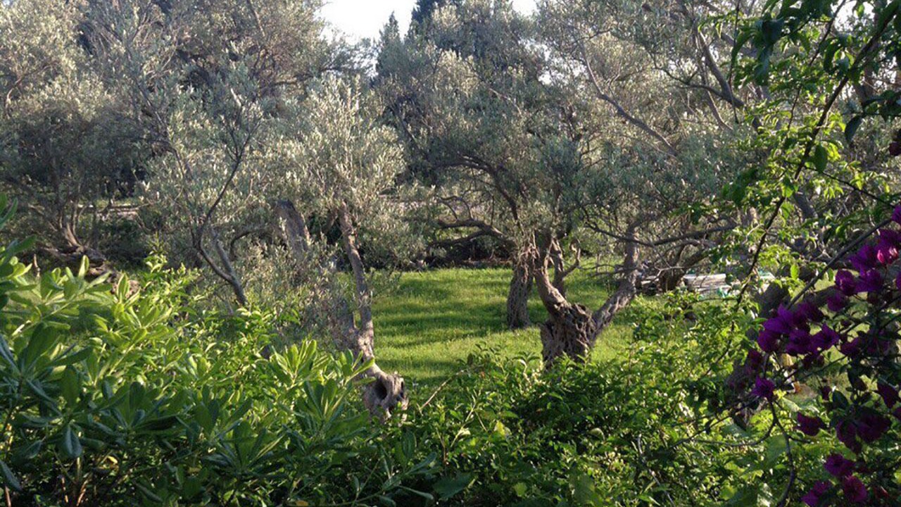 Photo of Outdoor in Susanj