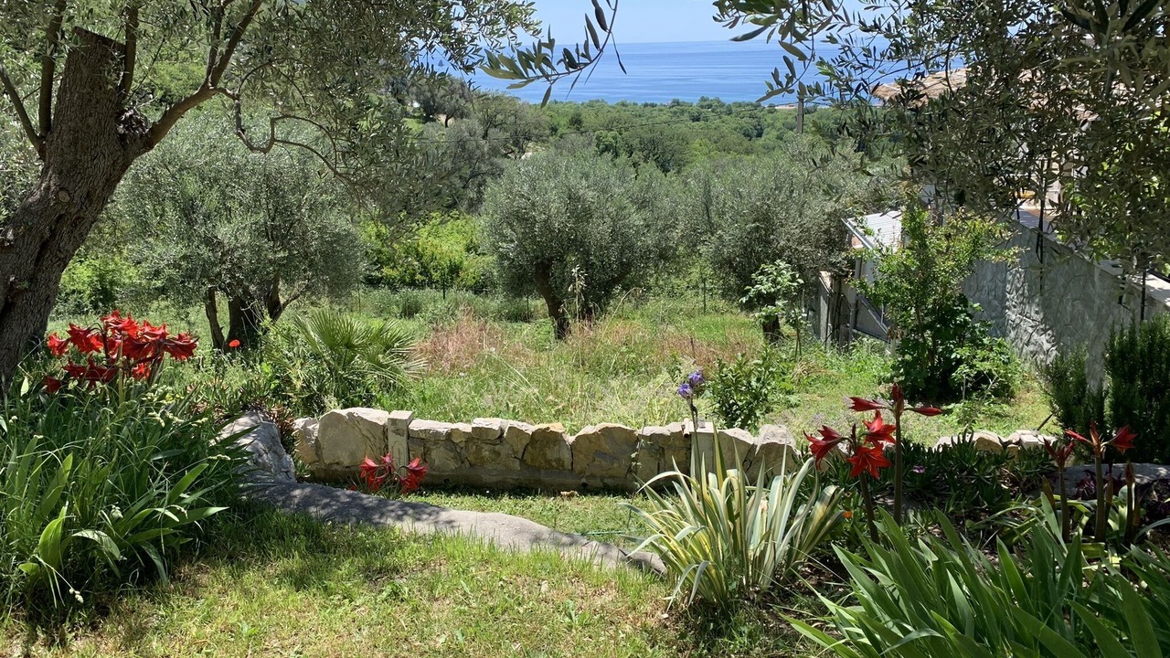 Photo of Outdoor in Kaluđerac