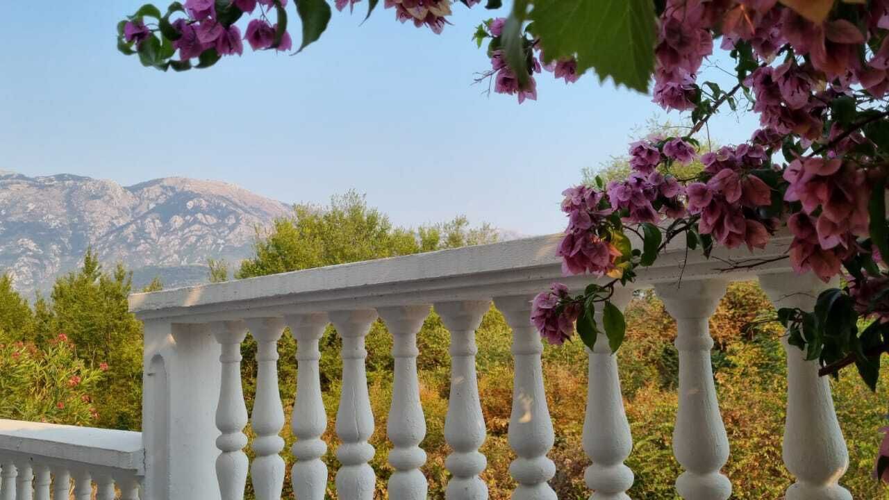 Photo of Outdoor in Tivat