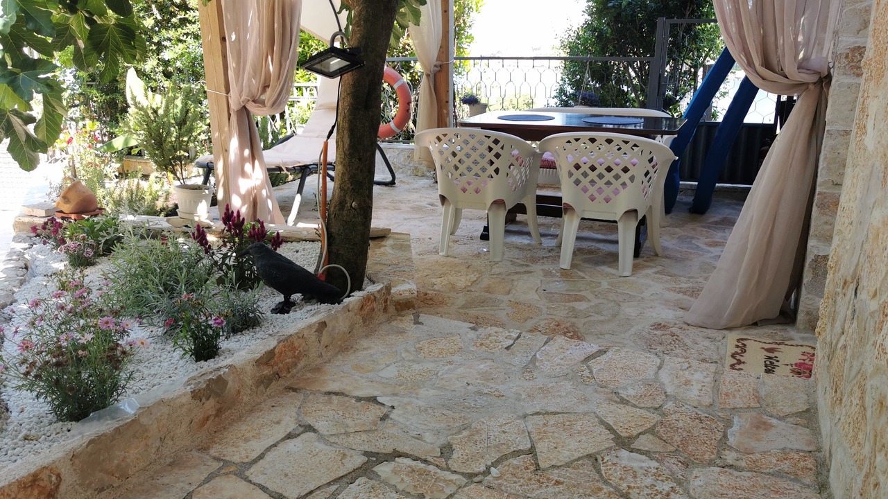 Photo of Outdoor in Utjeha