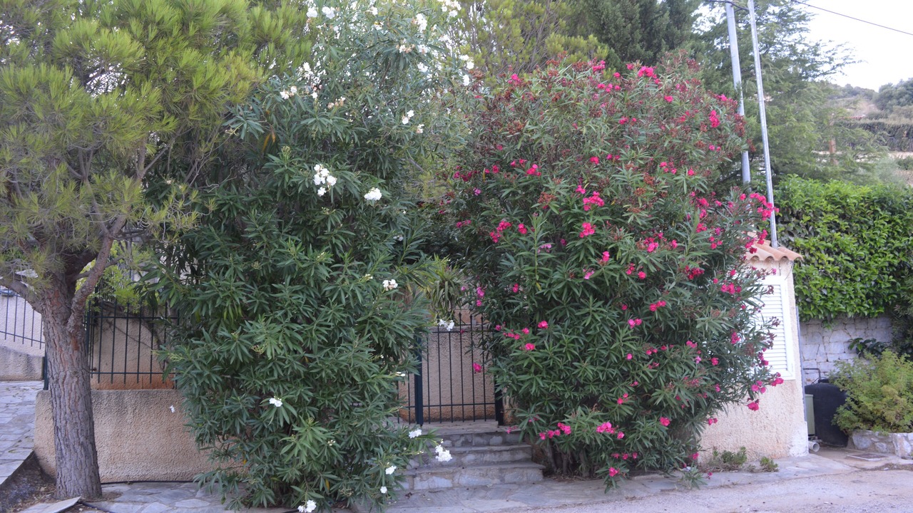 Photo of Outdoor in Marathon