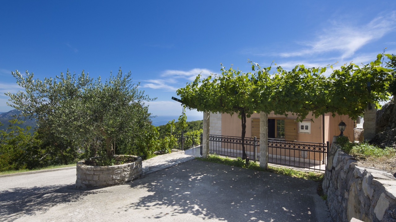 Photo of Outdoor in Petrovac