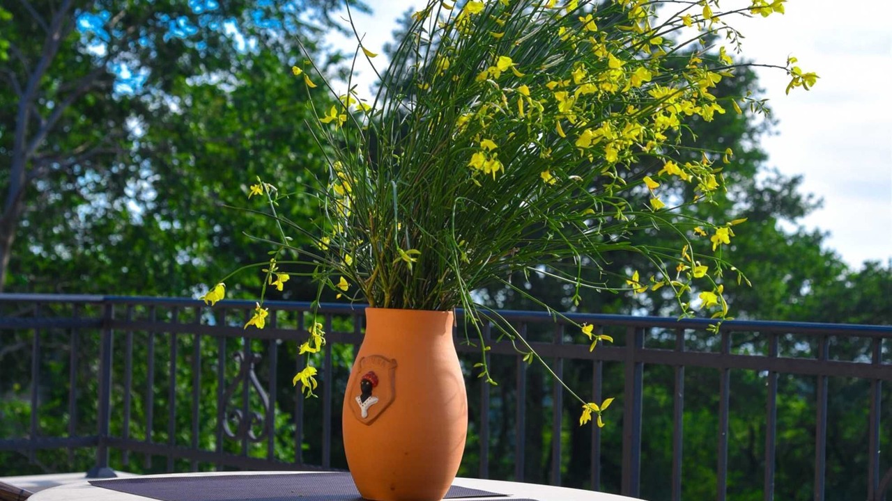 Photo of Patio Balcony in Becici