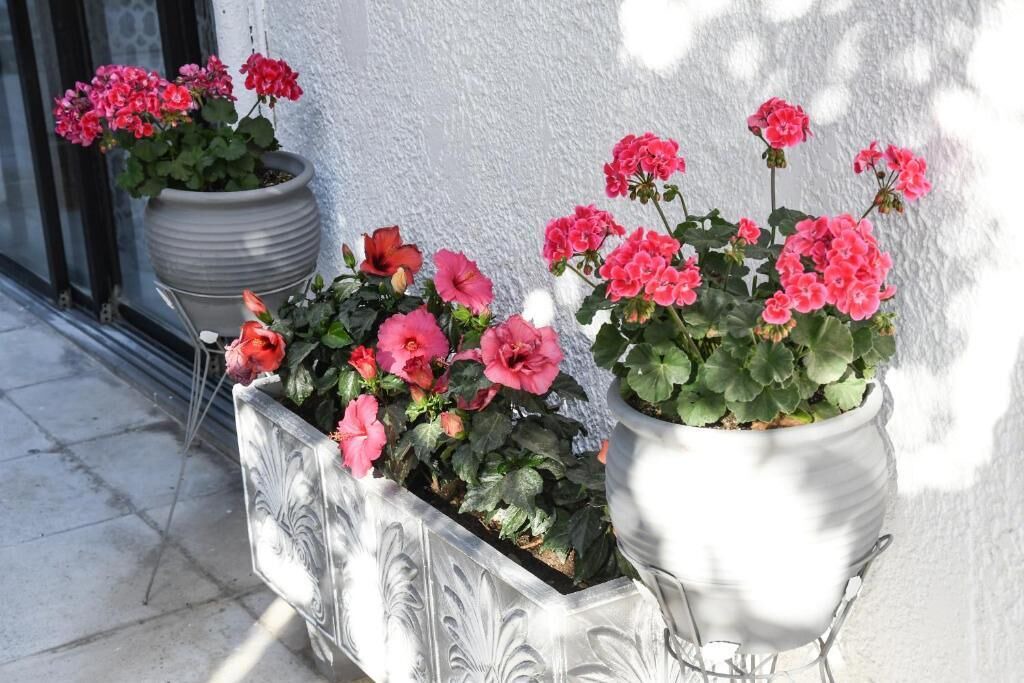 Photo of Outdoor in Pefkos