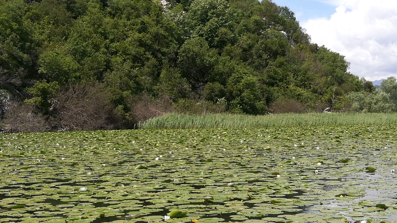 Photo of Outdoor in Becici