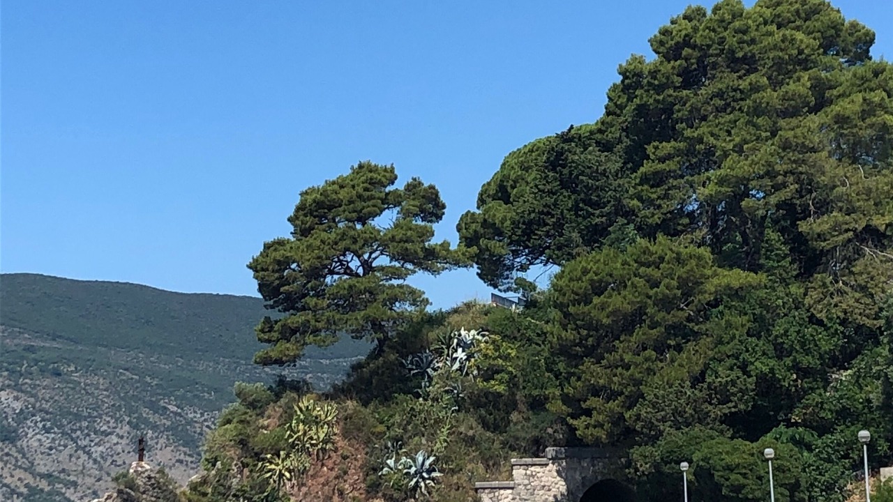 Photo of Others in Topla