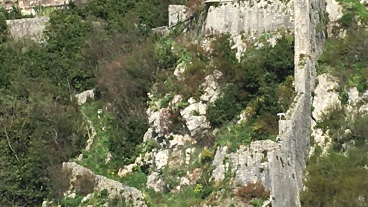 Photo of Others in Skaljari