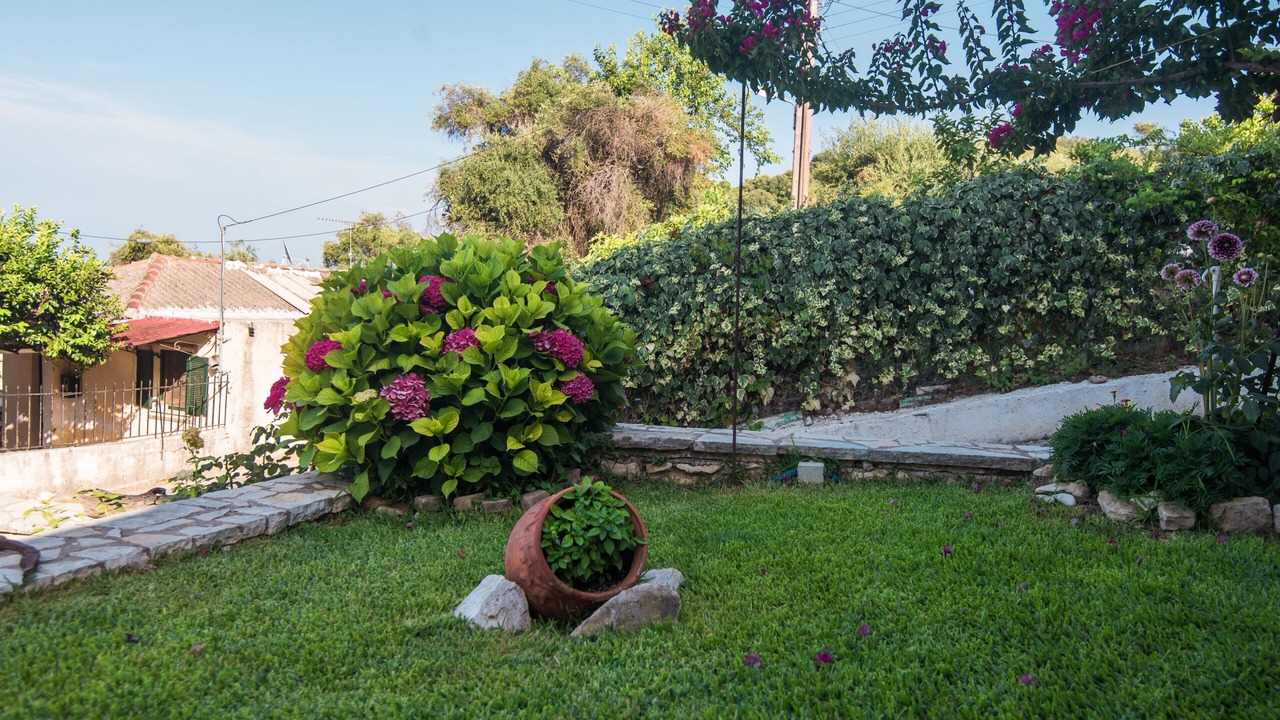 Photo of Outdoor in Messonghi