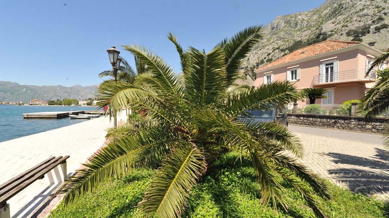 Photo of Outdoor in Kotor