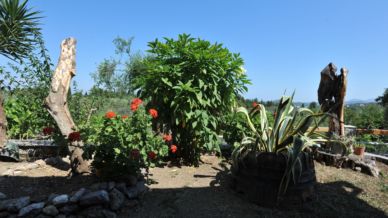 Photo of Outdoor in Kato Korakiana