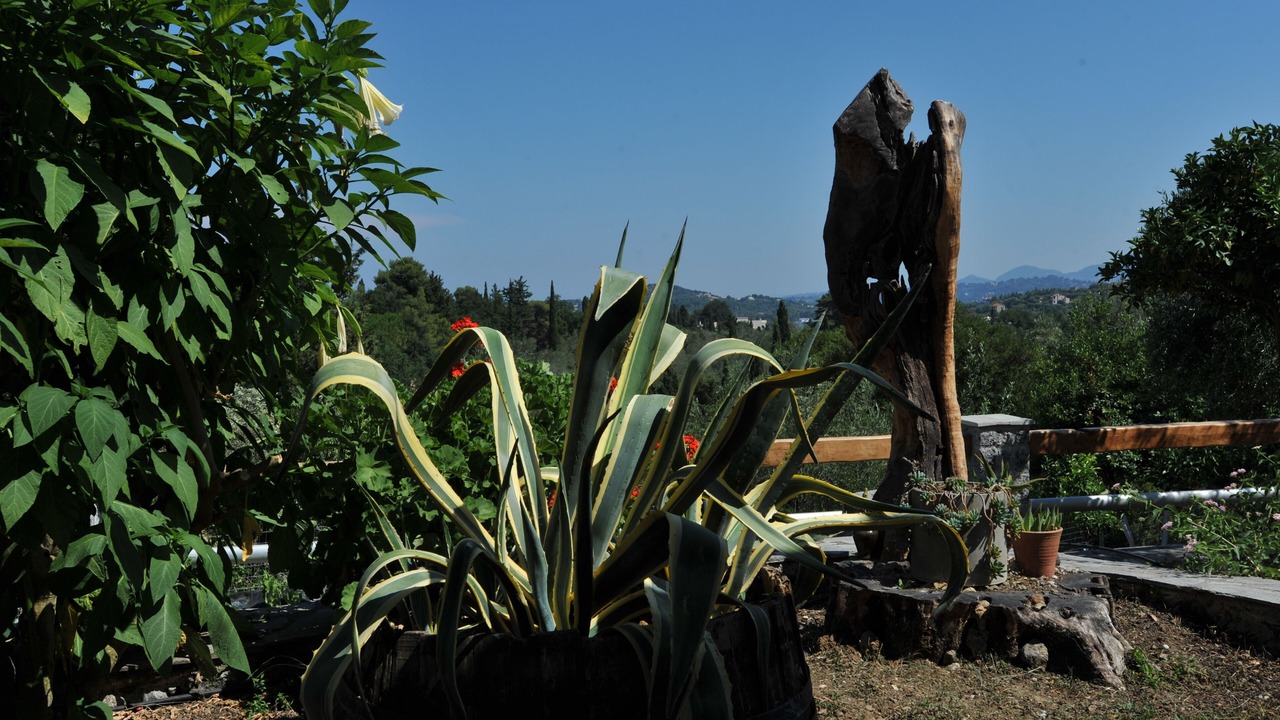 Photo of Outdoor in Kato Korakiana