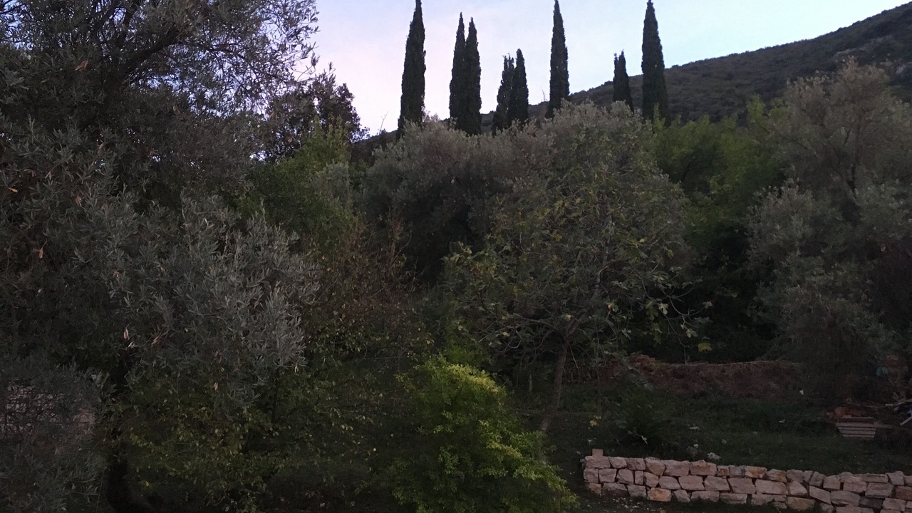 Photo of Outdoor in Igalo