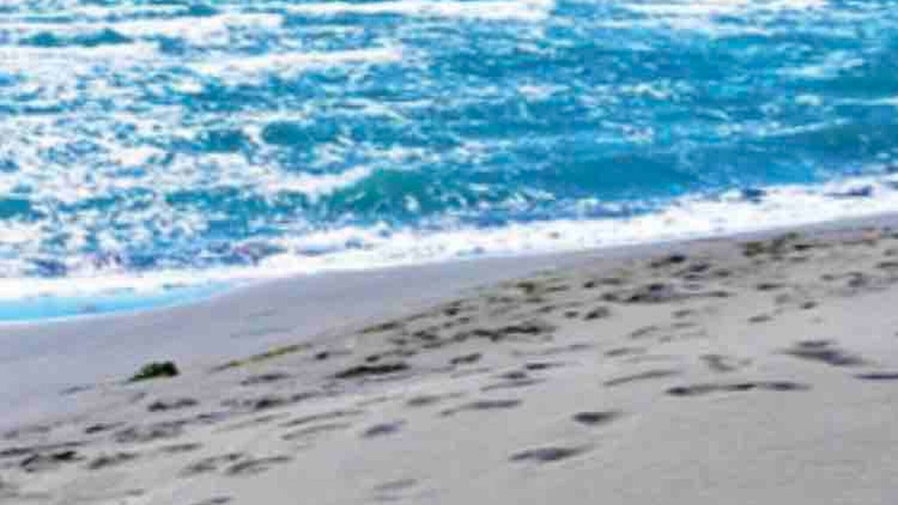 Photo of Others in Ulcinj