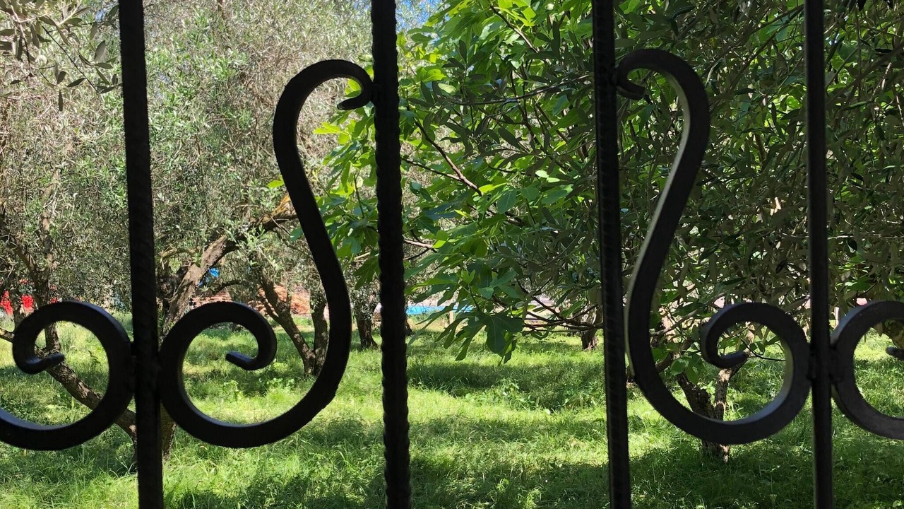 Photo of Outdoor in Ulcinj