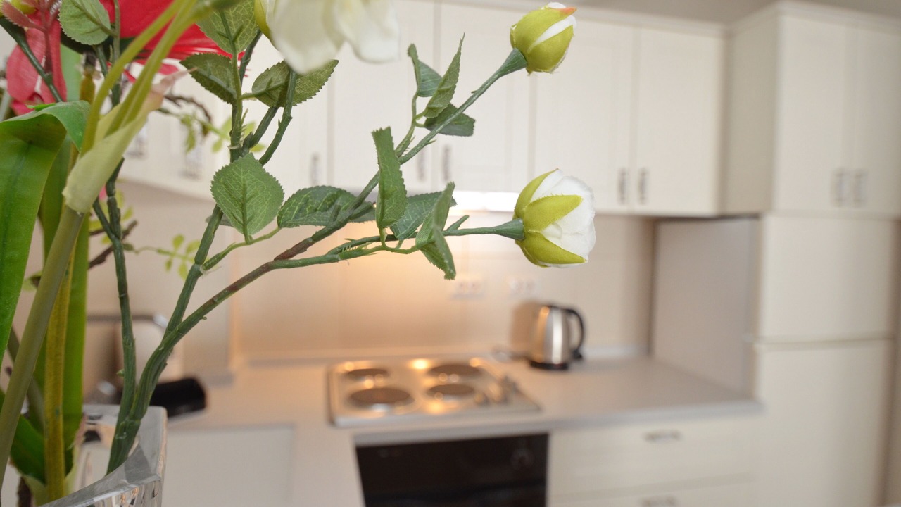 Photo of Kitchen in Kotor
