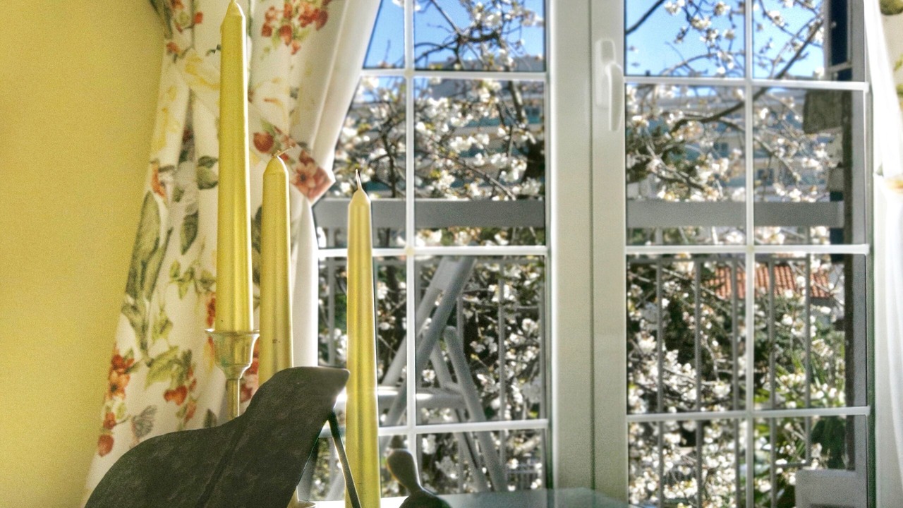 Photo of Bedroom in Babin do