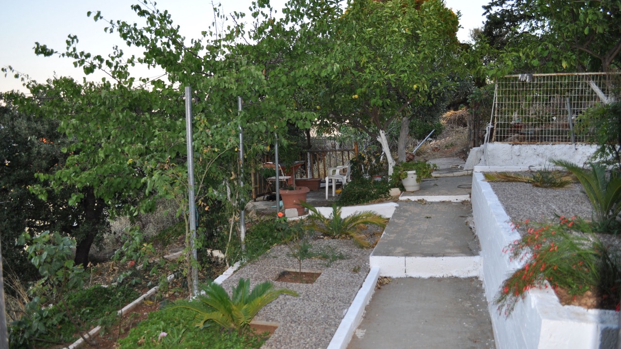 Photo of Outdoor in Markopoulo Mesogaias