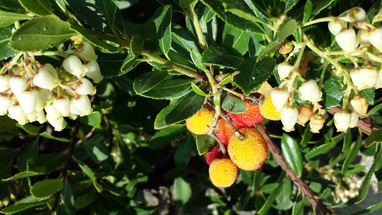 Photo of Outdoor in Agia