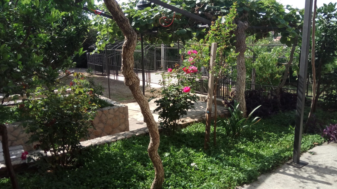 Photo of Outdoor in Dobra Voda