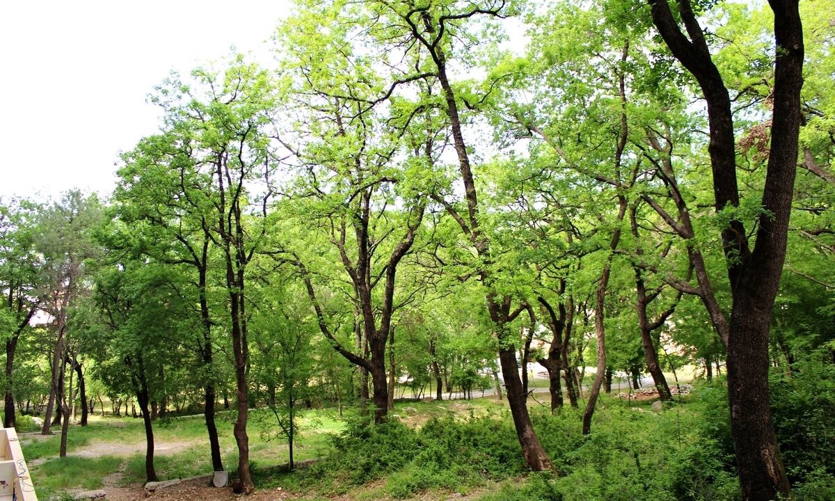 Photo of Outdoor in Lazi