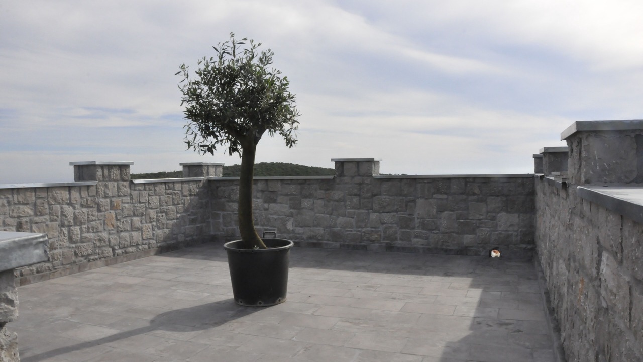 Photo of Patio Balcony in Lustica