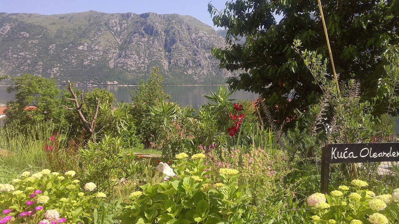Photo of Outdoor in Prcanj