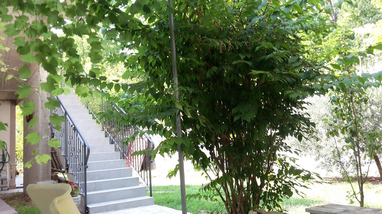 Photo of Outdoor in Orahovac